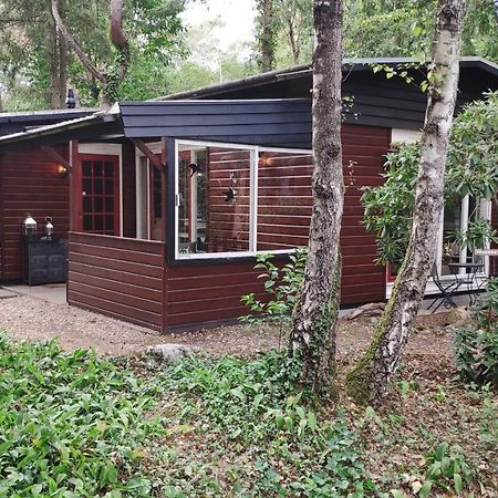 Bosbungalow De Eekhoorn Nunspeet Kültér fotó