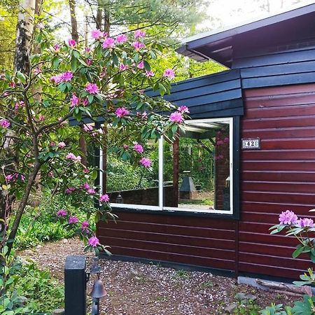 Bosbungalow De Eekhoorn Nunspeet Kültér fotó