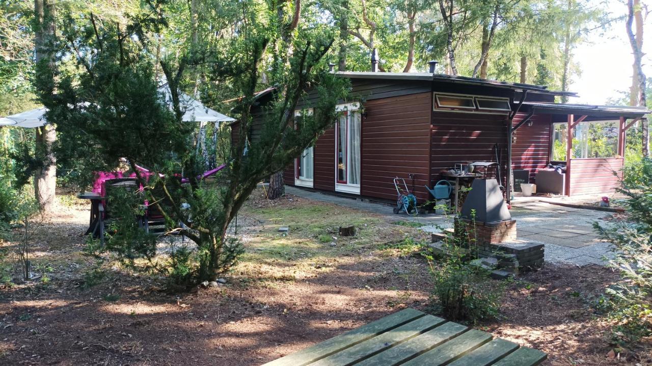 Bosbungalow De Eekhoorn Nunspeet Kültér fotó