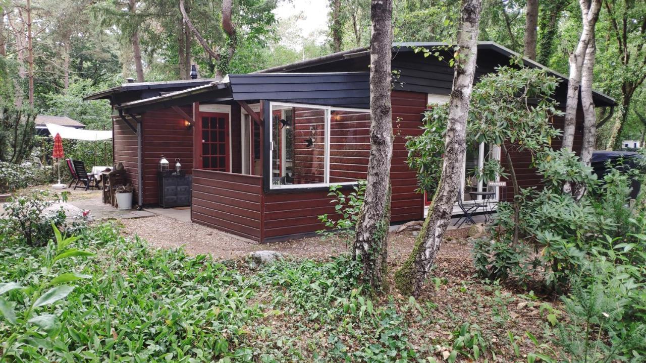Bosbungalow De Eekhoorn Nunspeet Kültér fotó