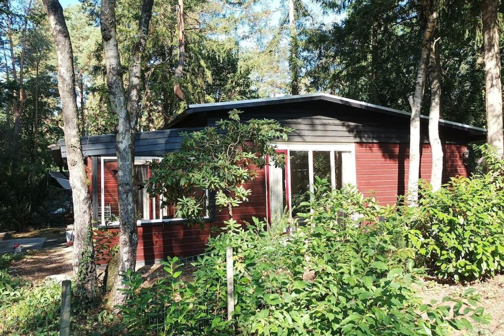 Bosbungalow De Eekhoorn Nunspeet Kültér fotó