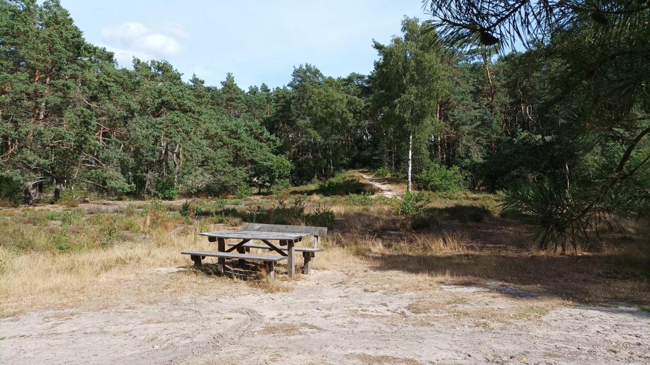 Bosbungalow De Eekhoorn Nunspeet Kültér fotó